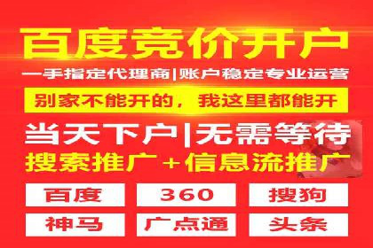 百度推广费用投入与品牌故事传播的案例分析